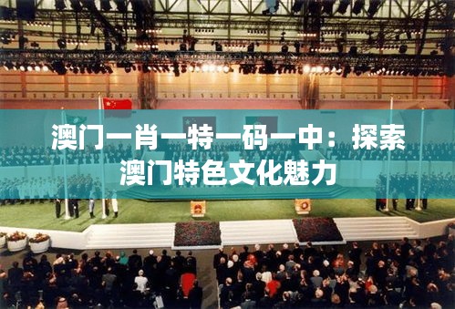 母凭子贵