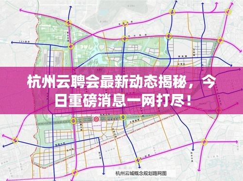 杭州云聘会最新动态揭秘，今日重磅消息一网打尽！