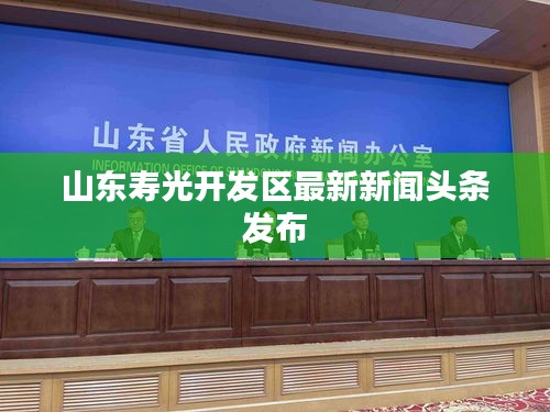 山东寿光开发区最新新闻头条发布