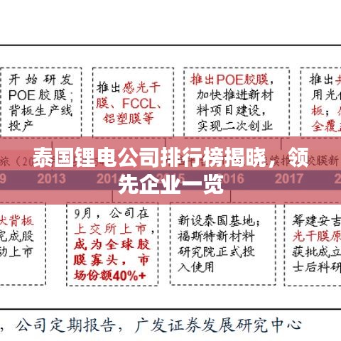 泰国锂电公司排行榜揭晓，领先企业一览