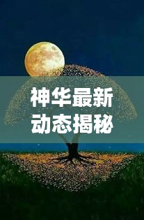 神华最新动态揭秘，今日消息一览无余！