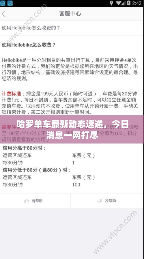 哈罗单车最新动态速递，今日消息一网打尽