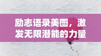 励志语录美图，激发无限潜能的力量的文字与图片结合