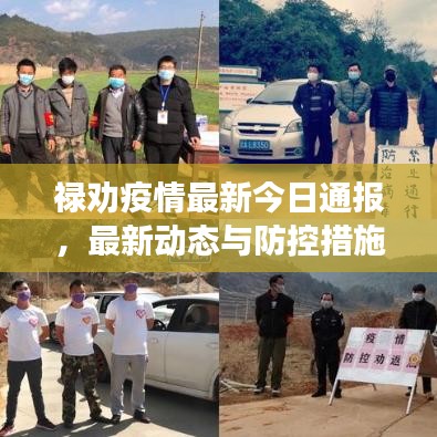 禄劝疫情最新今日通报，最新动态与防控措施全面解析