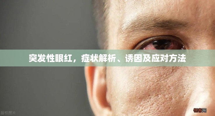 突发性眼红，症状解析、诱因及应对方法