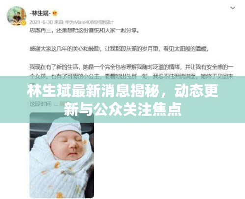 林生斌最新消息揭秘，动态更新与公众关注焦点