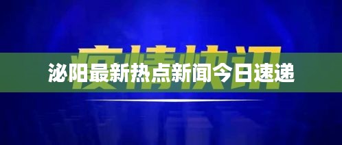 泌阳最新热点新闻今日速递