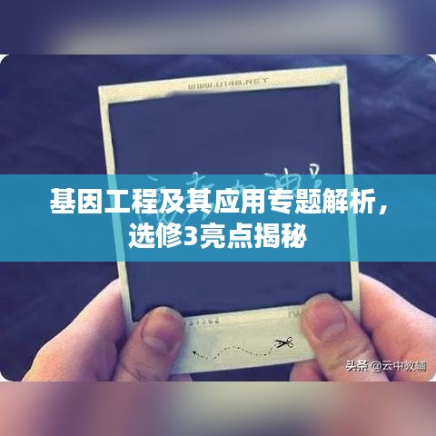 基因工程及其应用专题解析，选修3亮点揭秘