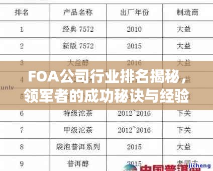 FOA公司行业排名揭秘，领军者的成功秘诀与经验分享