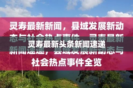 灵寿最新头条新闻速递