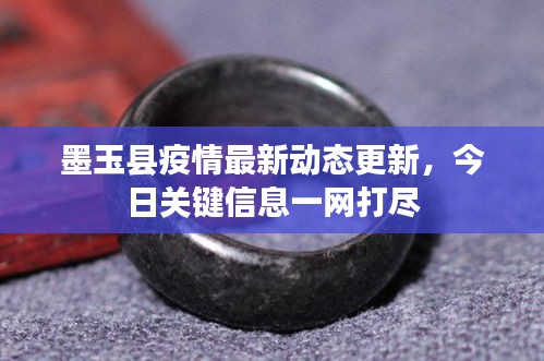 墨玉县疫情最新动态更新，今日关键信息一网打尽