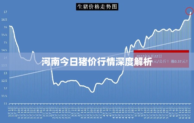 河南今日猪价行情深度解析