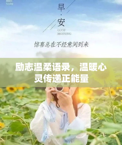 励志温柔语录，温暖心灵传递正能量