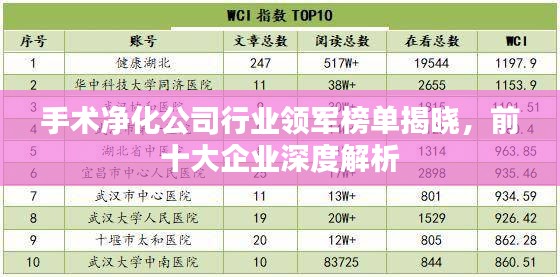 手术净化公司行业领军榜单揭晓，前十大企业深度解析