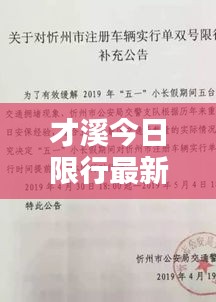 质而不俚 第2页