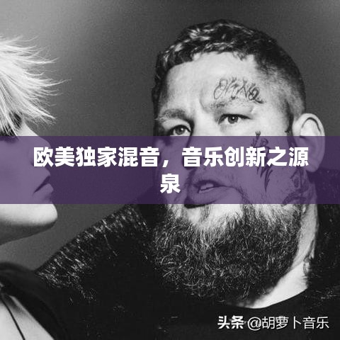 欧美独家混音，音乐创新之源泉