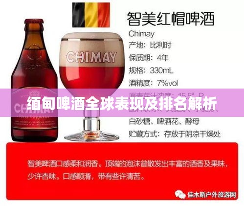 缅甸啤酒全球表现及排名解析