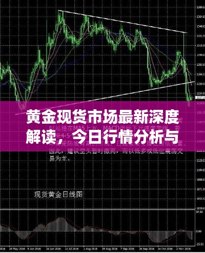 黄金现货市场最新深度解读，今日行情分析与展望