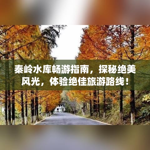 秦岭水库畅游指南，探秘绝美风光，体验绝佳旅游路线！