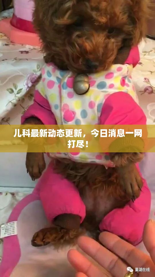 儿科最新动态更新，今日消息一网打尽！