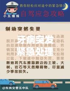 牙病突发紧急处理与预防攻略，专业指南助你轻松应对！