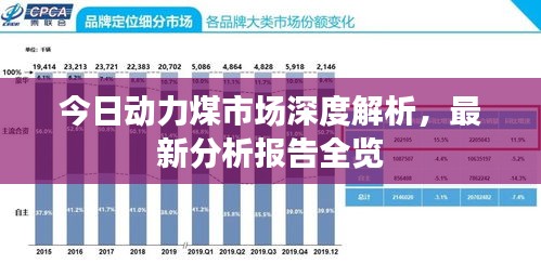 今日动力煤市场深度解析，最新分析报告全览