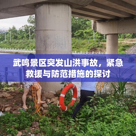 武鸣景区突发山洪事故，紧急救援与防范措施的探讨