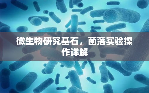 微生物研究基石，菌落实验操作详解