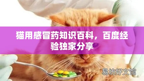 猫用感冒药知识百科，百度经验独家分享