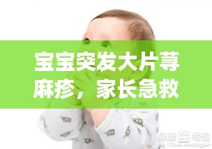 宝宝突发大片荨麻疹，家长急救措施与护理指南！