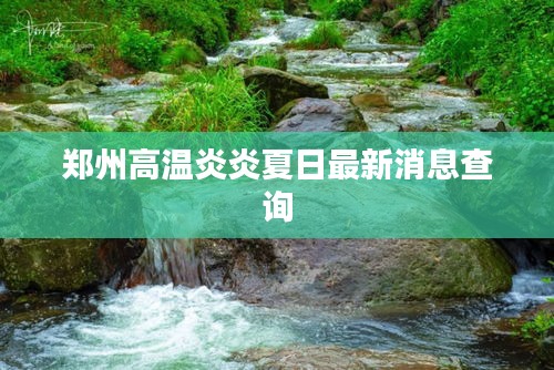 郑州高温炎炎夏日最新消息查询