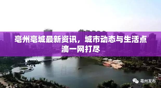 亳州亳城最新资讯，城市动态与生活点滴一网打尽