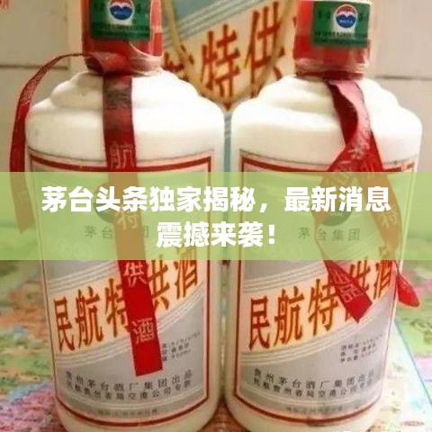 茅台头条独家揭秘，最新消息震撼来袭！