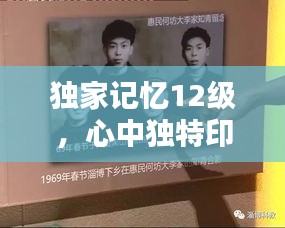 独家记忆12级，心中独特印记揭秘