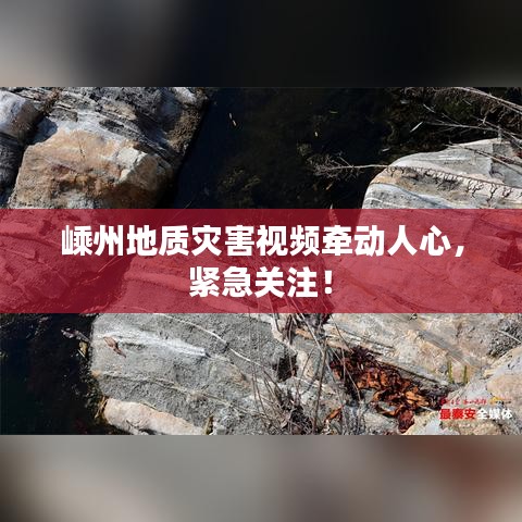物以稀为贵 第2页