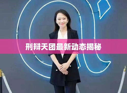 刑辩天团最新动态揭秘