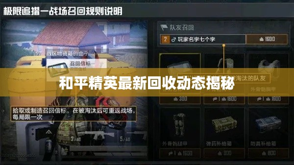 和平精英最新回收动态揭秘