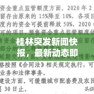 桂林突发新闻快报，最新动态即刻更新
