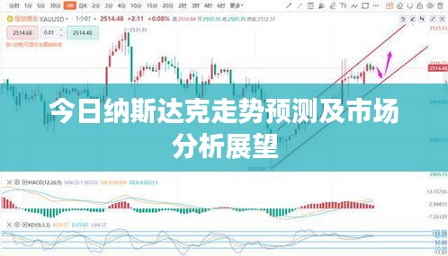 今日纳斯达克走势预测及市场分析展望