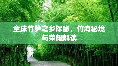 全球竹笋之乡探秘，竹海秘境与荣耀解读