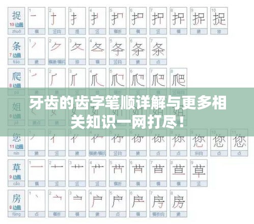 牙齿的齿字笔顺详解与更多相关知识一网打尽！