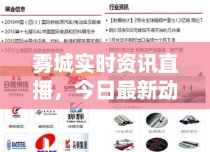 雾城实时资讯直播，今日最新动态一网打尽