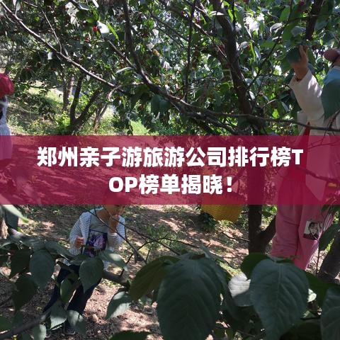 郑州亲子游旅游公司排行榜TOP榜单揭晓！