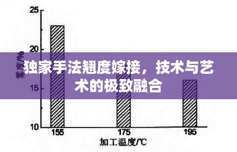 独家手法翘度嫁接，技术与艺术的极致融合