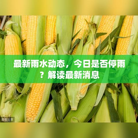 最新雨水动态，今日是否停雨？解读最新消息