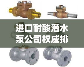 进口耐酸潜水泵公司权威排名榜单揭晓！