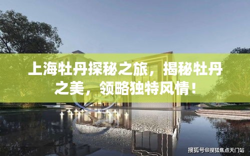 张冠李戴 第2页