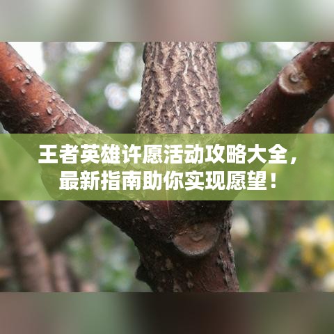 王者英雄许愿活动攻略大全，最新指南助你实现愿望！