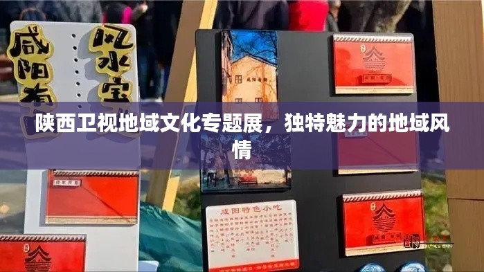陕西卫视地域文化专题展，独特魅力的地域风情