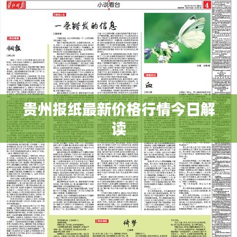 贵州报纸最新价格行情今日解读